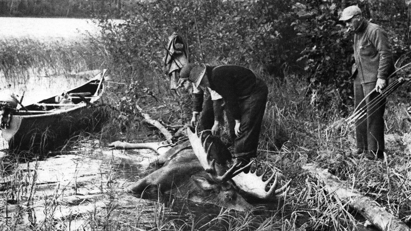 two hunters inspect a dead moose, while the third stands back holding his bow and arrows, vintage B&W magazine photograph