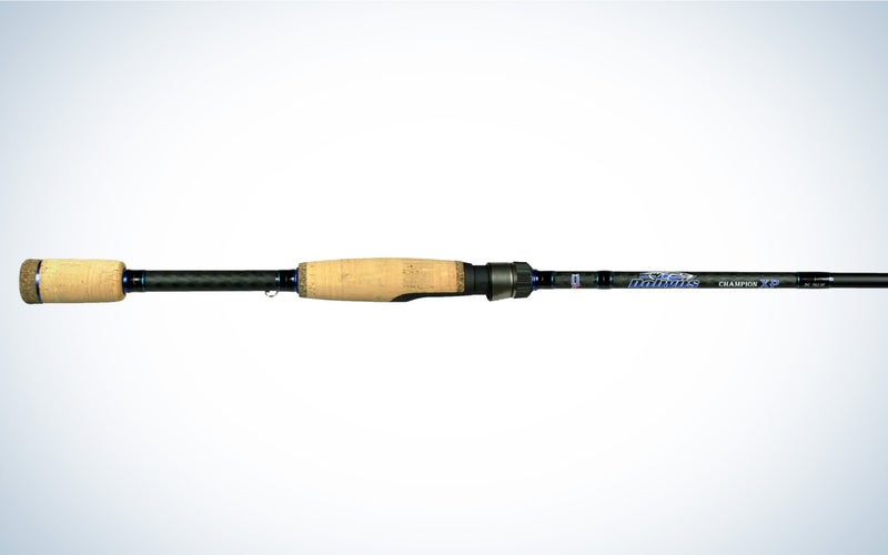 The Dobyns Champion XP is one of the best spinning rods for bass.