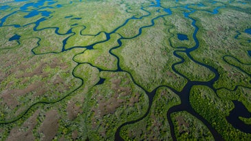 Fishing the Lost World of the Everglades, From the Archives
