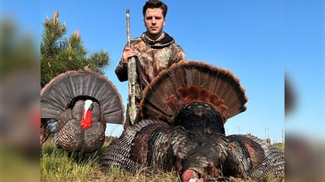 First-Time Turkey Hunter Tags the Highest-Scoring Gobbler in New York History