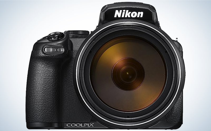The Nikon Coolpix P1000 is one of the best cameras for wildlife photography.