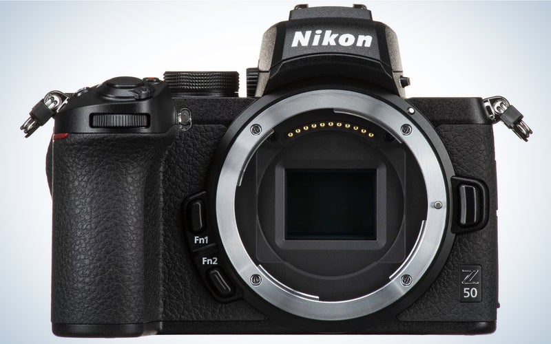 The Nikon Z50Â is one of the best cameras for wildlife photography.